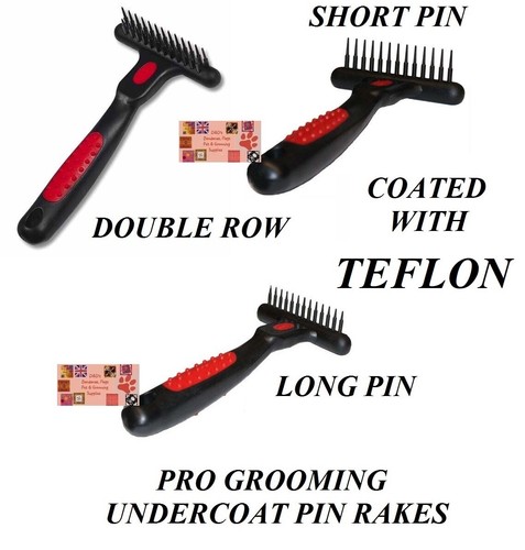 Dog cat grooming coat hair - dog,